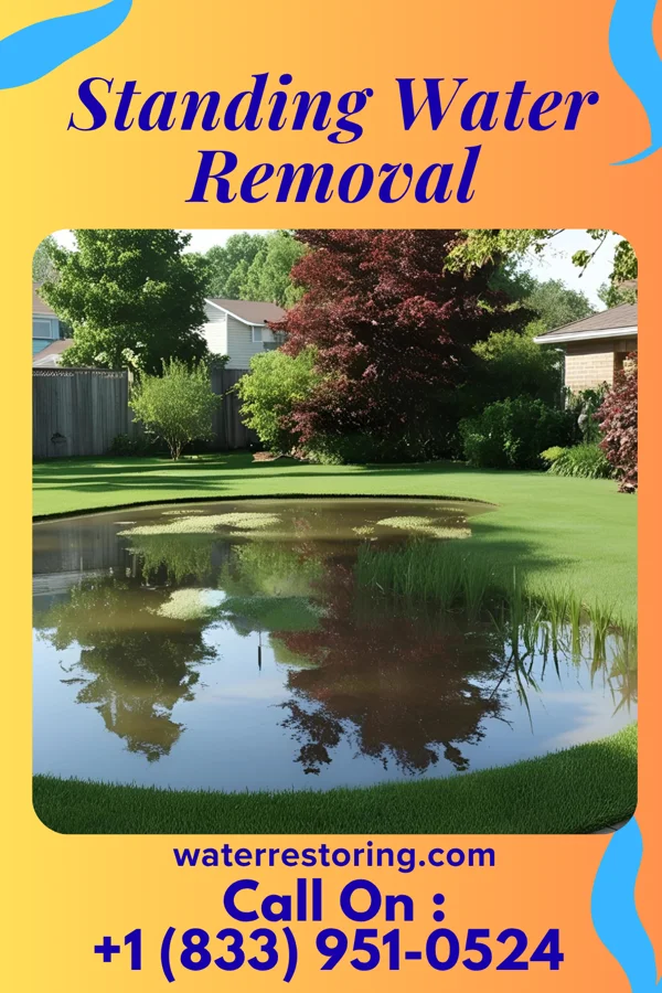 Standing Water Removal in Richmond, IN